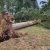 Unwetter_18.08.2022