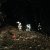 Baumbergungen im Gemeindegebiet von Prebensdorf am 02.02.2013