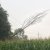 Baumbrand L360 Prebensdorf