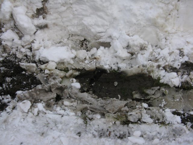 k1600_img_4133