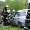 Leistungsschau in Pressguts