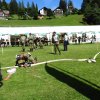 dscn1131