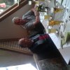 img-20190913-wa0009