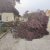 Unwetter_18.08.2022