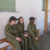 Wissenstest und Wissenstestspiel 2013
