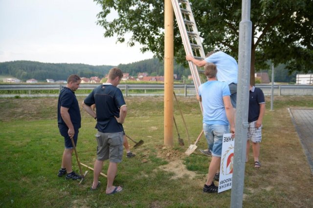 Maibaum umschneiden