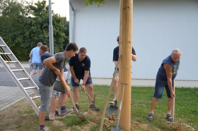 Maibaum umschneiden
