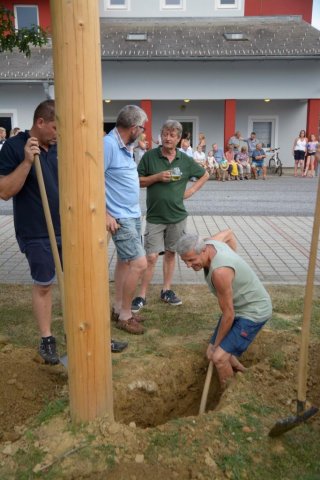 Maibaum umschneiden