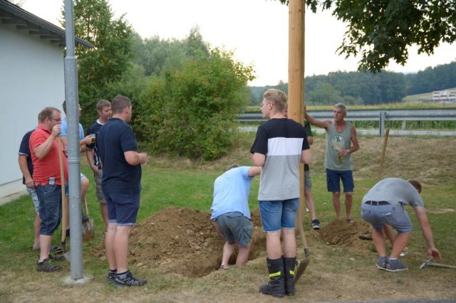 Maibaum umschneiden