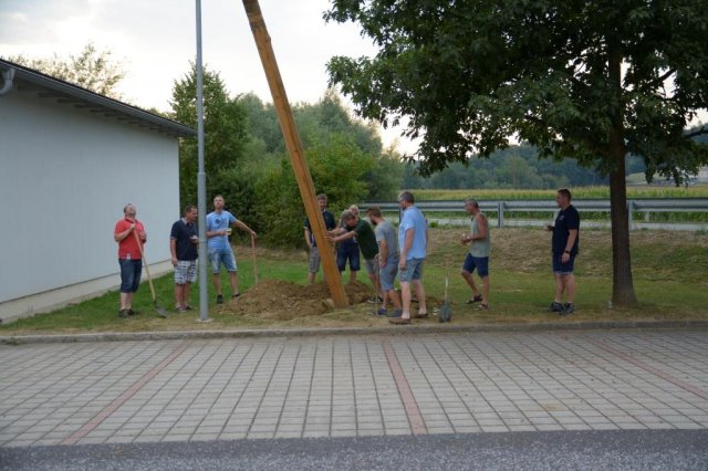 Maibaum umschneiden