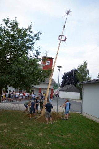 Maibaum umschneiden