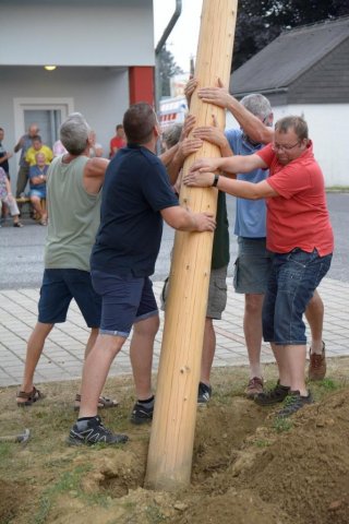 Maibaum umschneiden