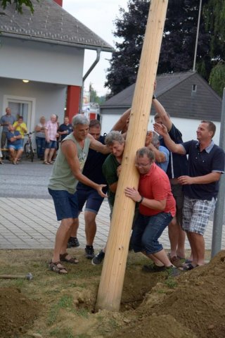 Maibaum umschneiden