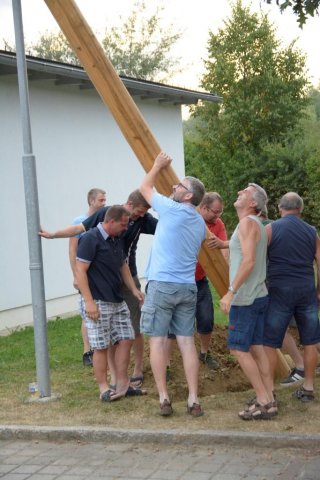 Maibaum umschneiden
