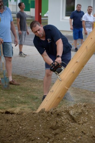 Maibaum umschneiden