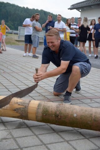 Maibaum umschneiden