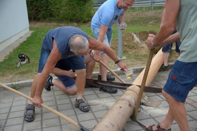 Maibaum umschneiden