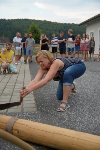 Maibaum umschneiden