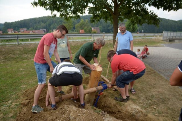 Maibaum umschneiden