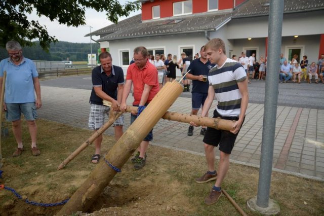 Maibaum umschneiden