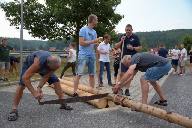 Maibaum umschneiden