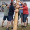 Maibaum umschneiden