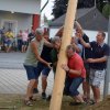 Maibaum umschneiden