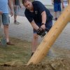 Maibaum umschneiden